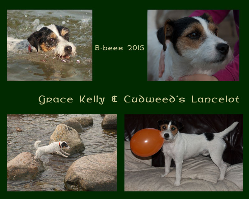 Grace Kelly und Cudweed's Lancelot