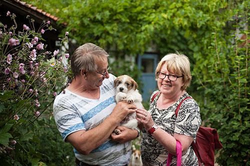 Parson Russell Terrier Colle von den Elmwirschen